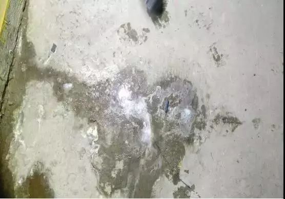 首页| PP电子游戏中国区官方网站