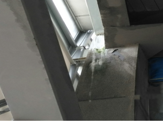 首页| PP电子游戏中国区官方网站