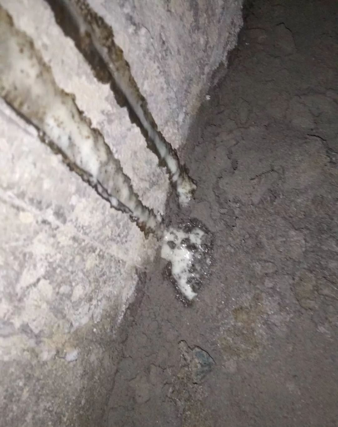 首页| PP电子游戏中国区官方网站