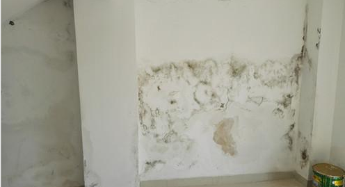 首页| PP电子游戏中国区官方网站