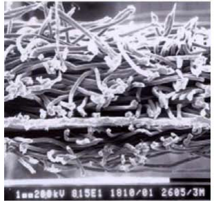 首页| PP电子游戏中国区官方网站