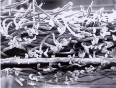 首页| PP电子游戏中国区官方网站