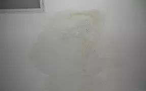 首页| PP电子游戏中国区官方网站