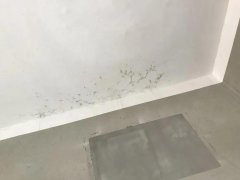 首页| PP电子游戏中国区官方网站