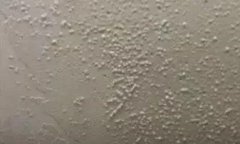 首页| PP电子游戏中国区官方网站